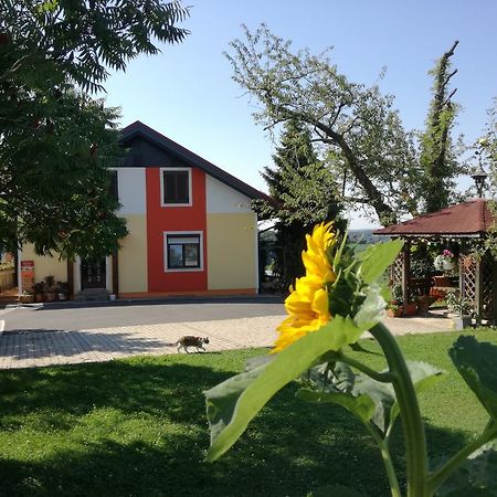 Gastehaus Dobida 호텔 Unterlamm  외부 사진